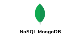 NoSQL MongoDB