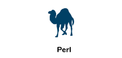 Perl is a high-level, interpreted, general-purpose programming language originally developed for text manipulation