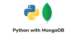 Python with MongoDB